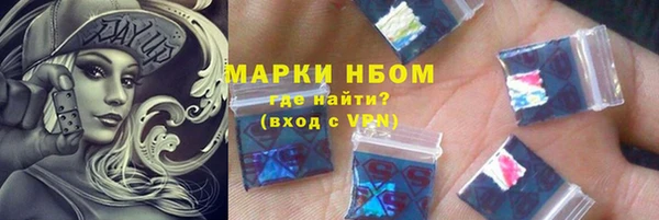 стаф Горняк