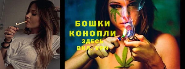 ГАЛЛЮЦИНОГЕННЫЕ ГРИБЫ Гусь-Хрустальный