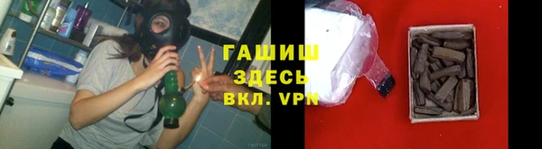 стаф Горняк