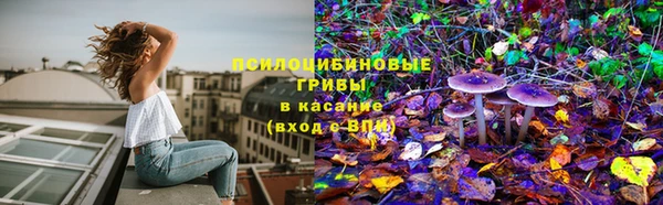 jwh Гусиноозёрск
