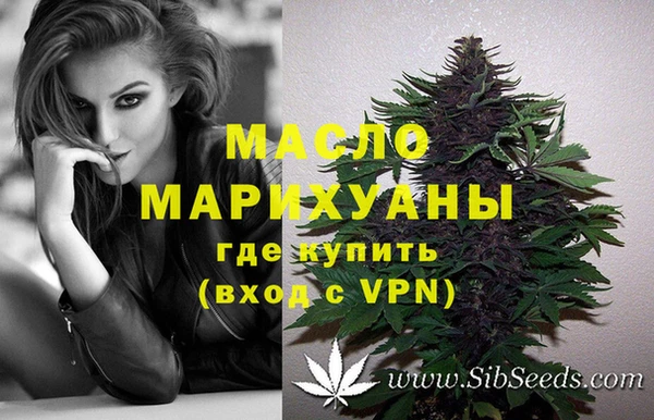 стаф Горняк