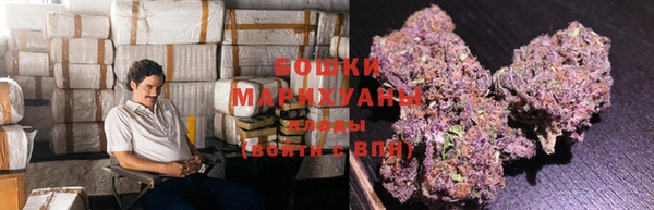 стаф Горняк